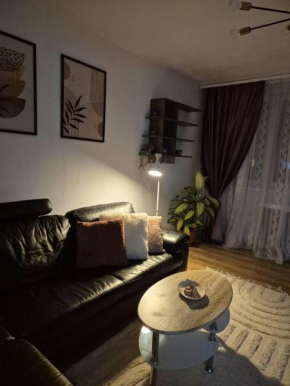 Pinters Home, Timişoara